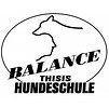 BALANCE-Thisis Hundeschule