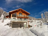 Chalet Davos