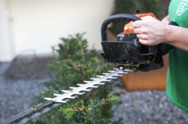 Gartenzeit Sutter GmbH