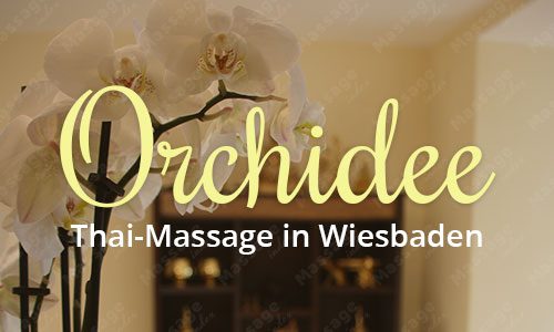 Orchidee, Wiesbaden, Wiesbaden