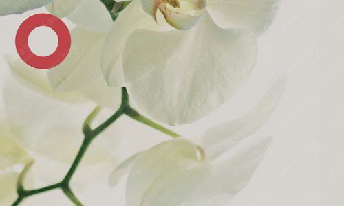 Tantric Massage, Bern Köniz