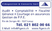 Fidugestion & Conseils Sàrl