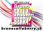 Sallaberry Bruno Publicité SA