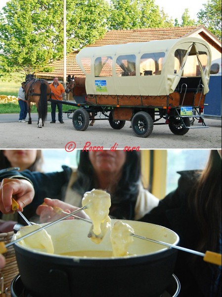 Franches Montagnes Destinations