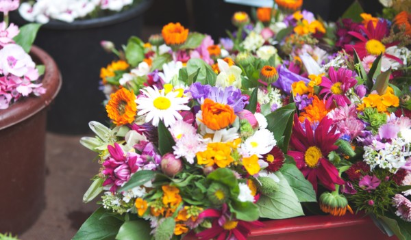 Zumstein Michael Gärtnerei