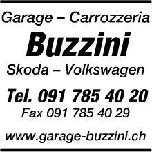 Buzzini garage VW