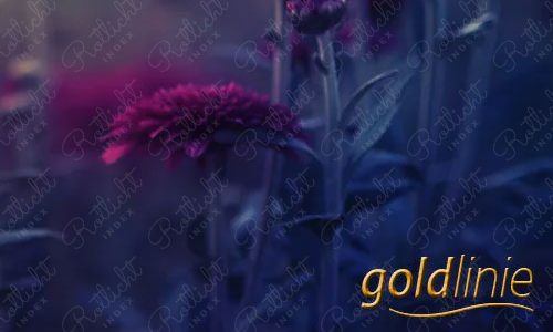 Goldlinie
