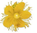 Praxis zum Dorfgässli