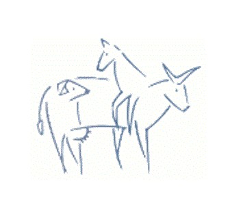 Dr. med. vet. Milicevic Anton S.