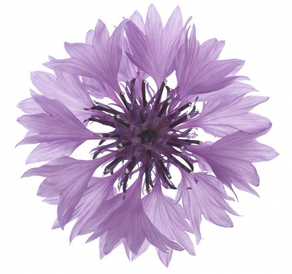 aus der seele Marlies Hänni