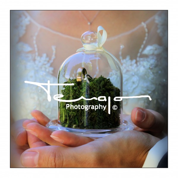 Terrapon Photography