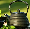 China Natur TCM