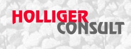 Holliger Consult GmbH