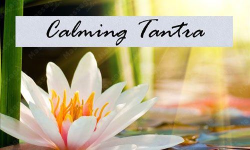 Calming Tantra, Grossraum Zürich
