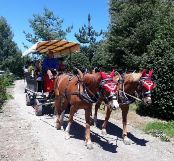 Winzeler Heinz und Christa