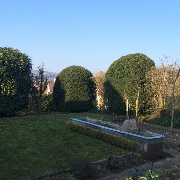 Pfister Obstbaum- und Gartenpflege