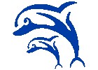 Dolphin Voyages