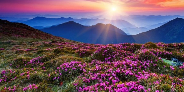 Rathgeb Erika, dipl Homöopathin SHI