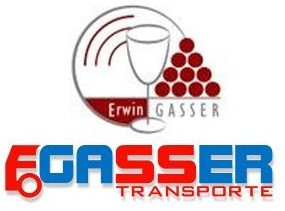 Gasser Erwin AG