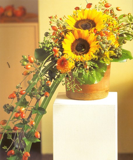 Blütenpracht Hirschi GmbH