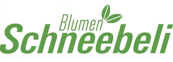 Blumen Schneebeli AG