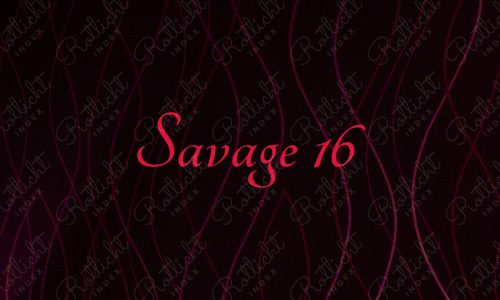 Studio Savage, Wien, Wien