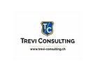 TREVI CONSULTING & TREVI FINANCE