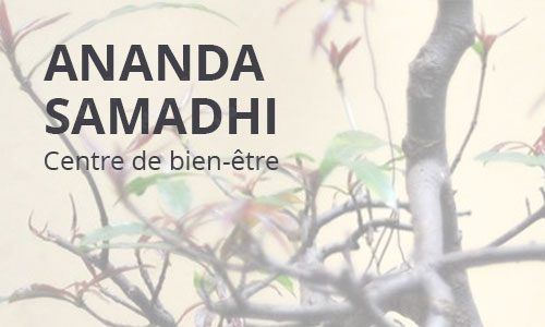 Centre Ananda Samadhi, Poliez-Pittet