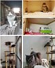 La Minouterie - Pension pour Chats