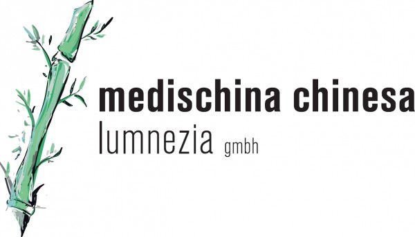 medischina chinesa lumnezia gmbh