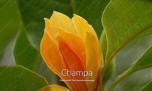Champa, Seon