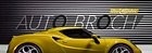 Auto Broch