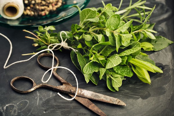 Restaurant Le Jardin