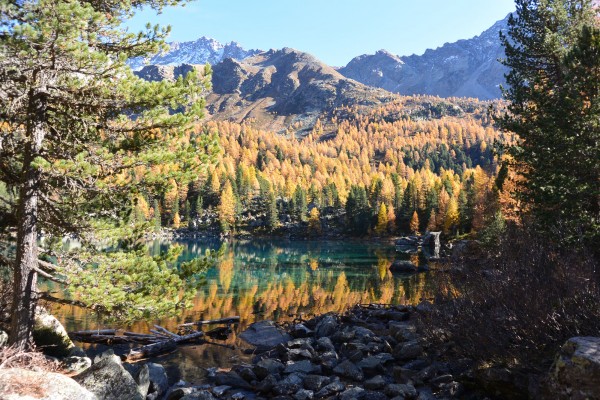 ANATANA Bestattungen GmbH