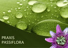 Praxis Passiflora