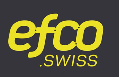 EFCO Technique de Fixation SA