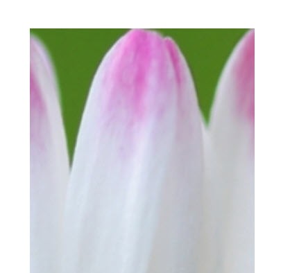 klassische Homöopathie Lydia Odermatt