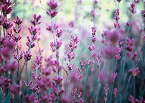 Cranio Massagenpraxis Waltensburg