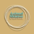 Animal Shiatsu by Angela Gamma