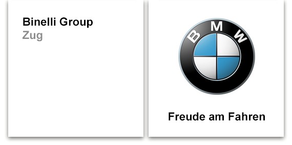 BINELLI GROUP ZUG